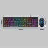 T-WOLF TF270 Colorful Light Effect Retro Gaming Wired Keyboard And Mouse Set - Image 2